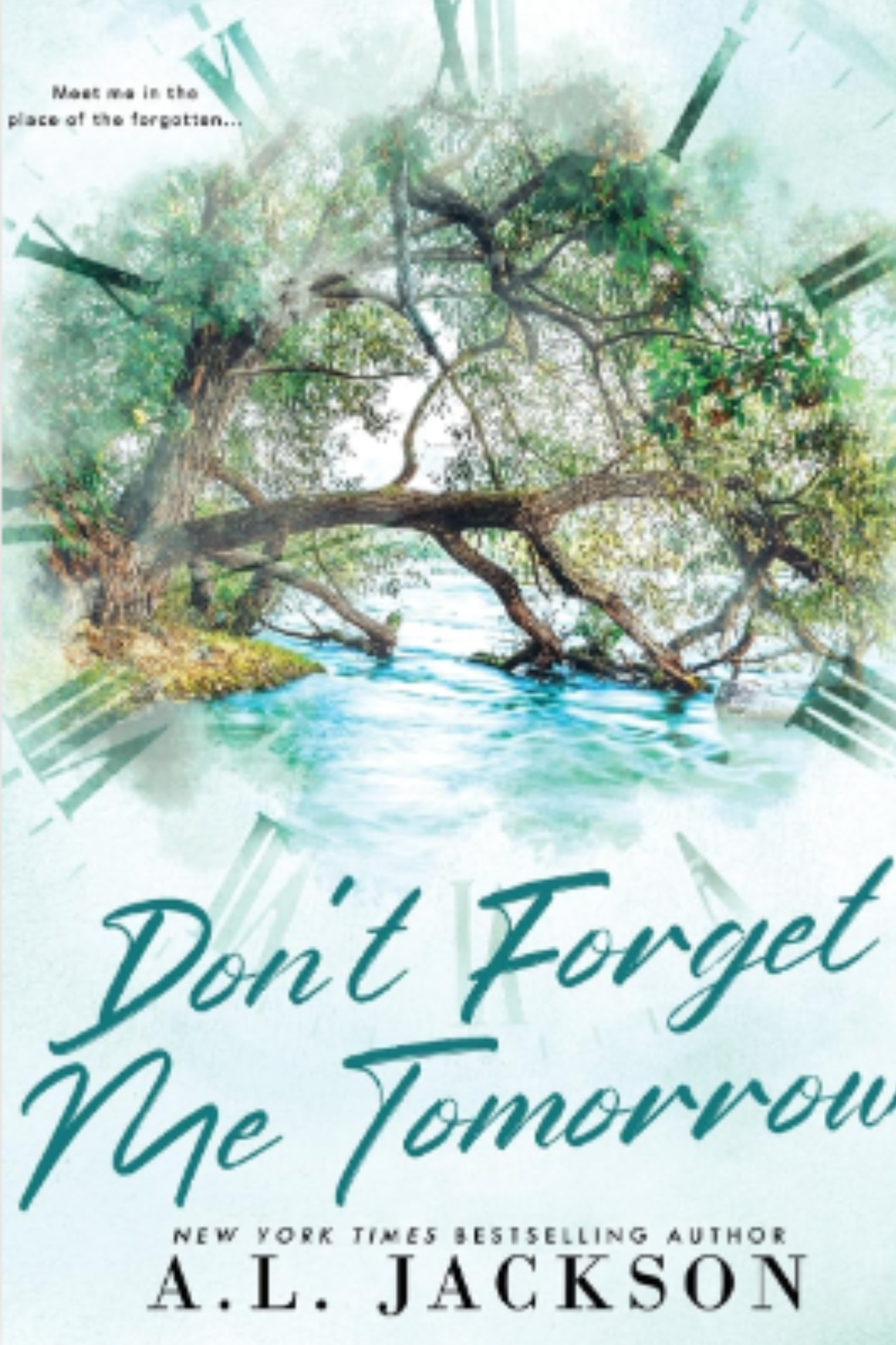 Don't Forget Me Tomorrow (Time River #2)