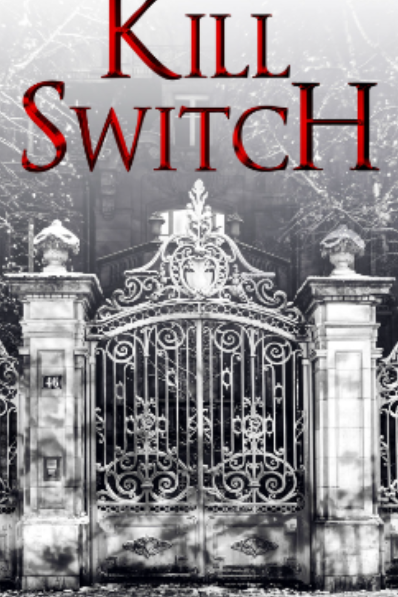 Kill Switch (Devil's Night #3)
