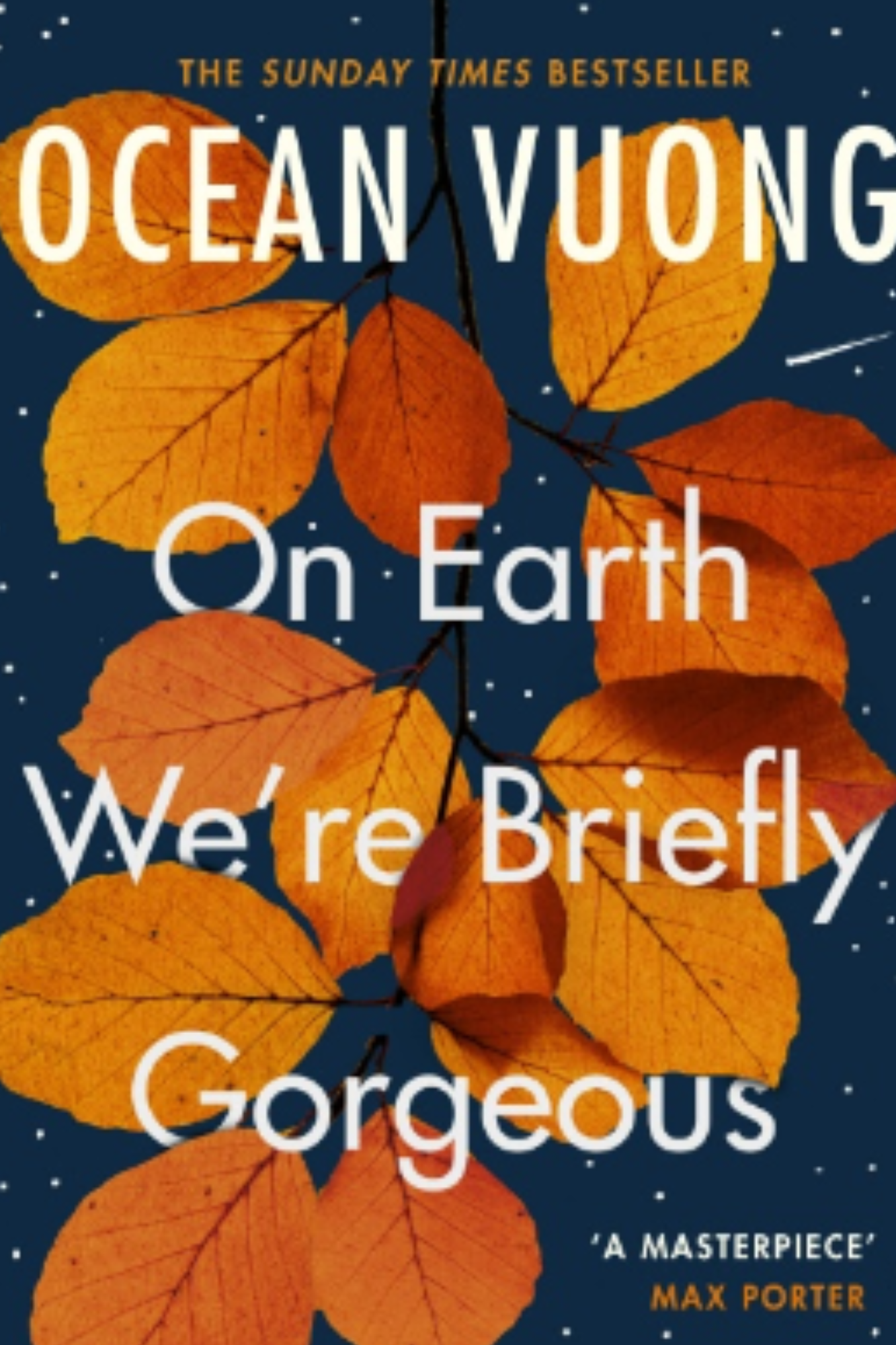 On Earth We’re Briefly Gorgeous