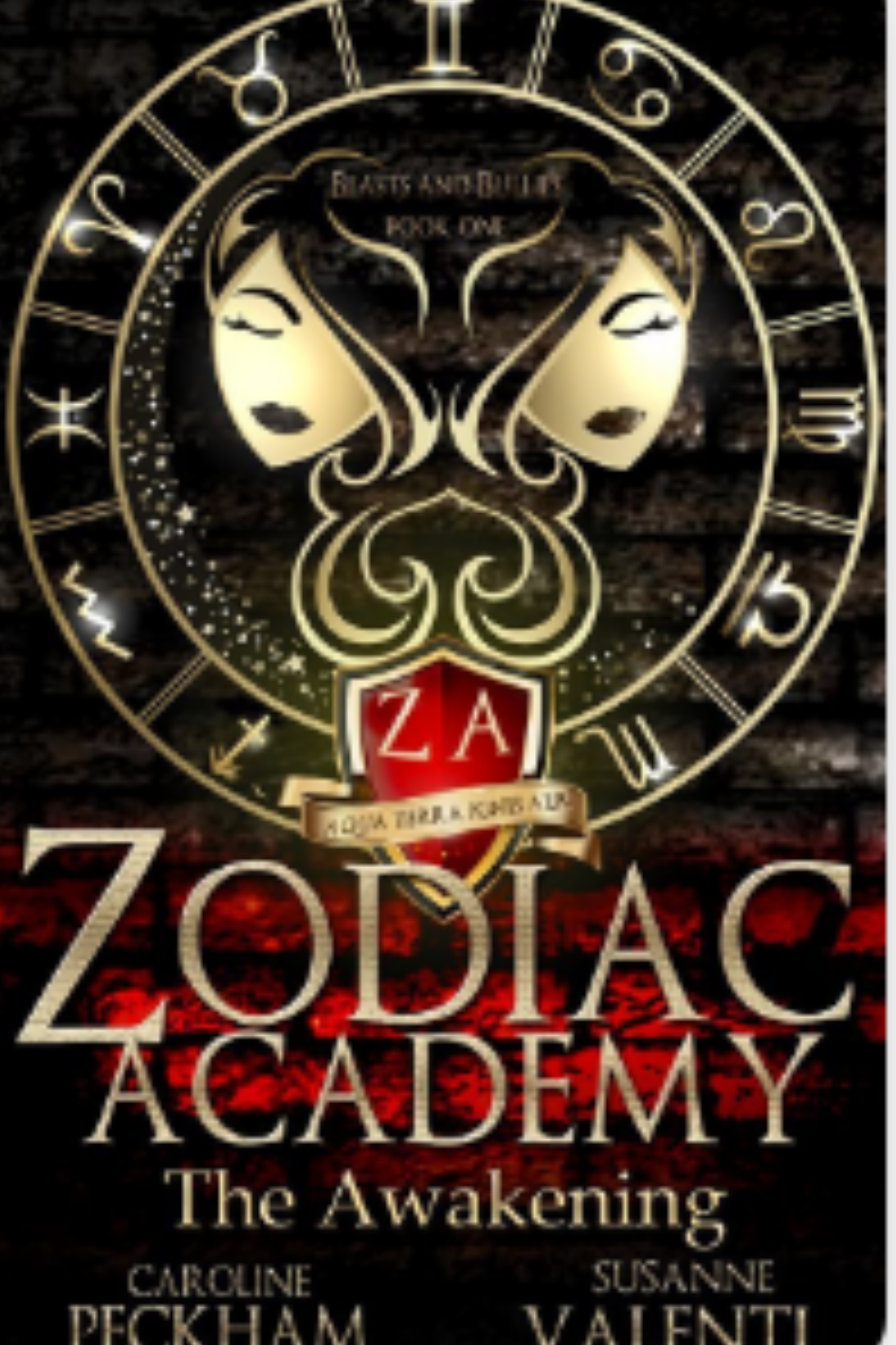 The Awakening (Zodiac Academy #1)