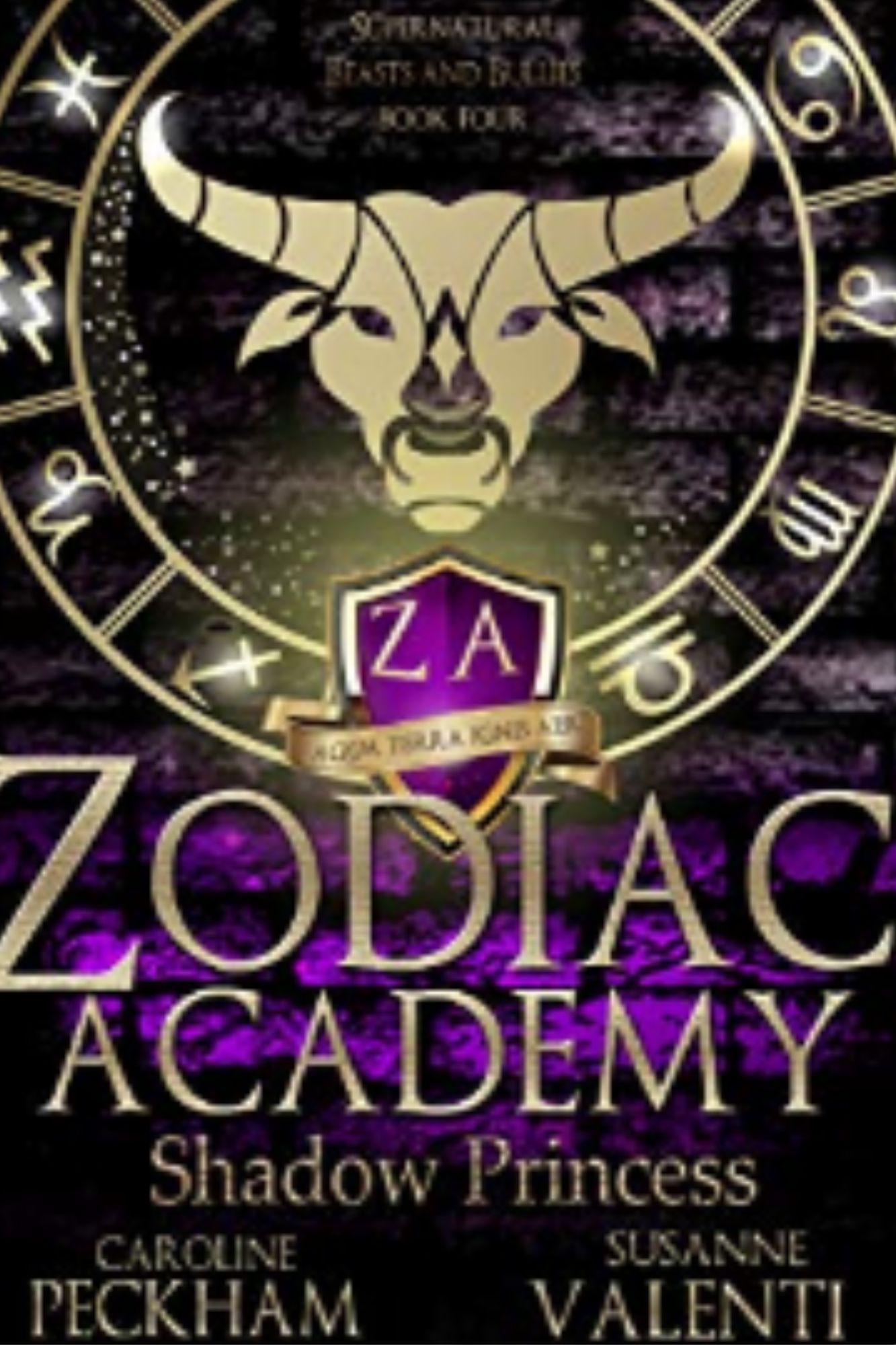 Shadow Princess (Zodiac Academy #4)