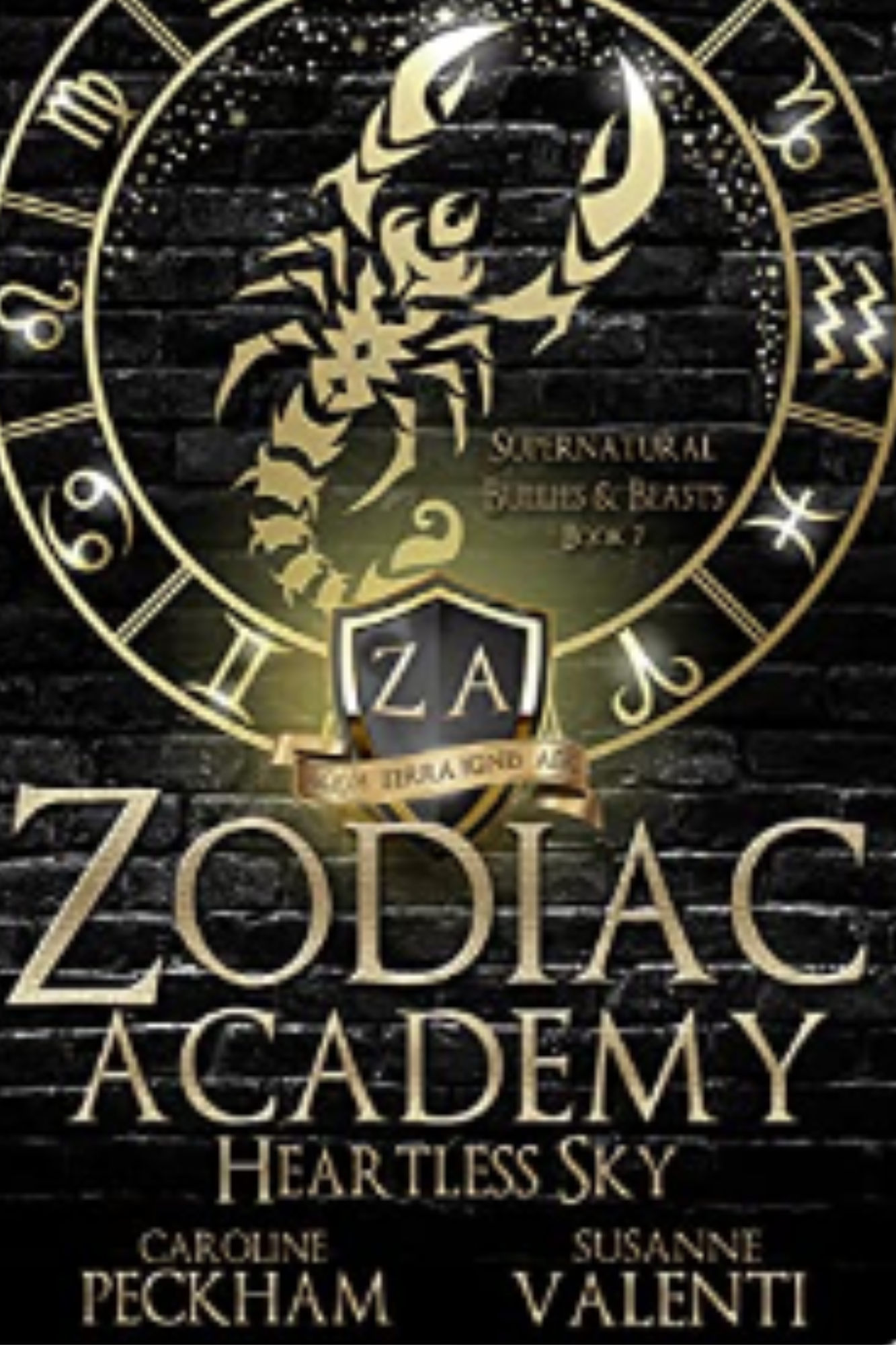 Heartless Sky (Zodiac Academy #7)