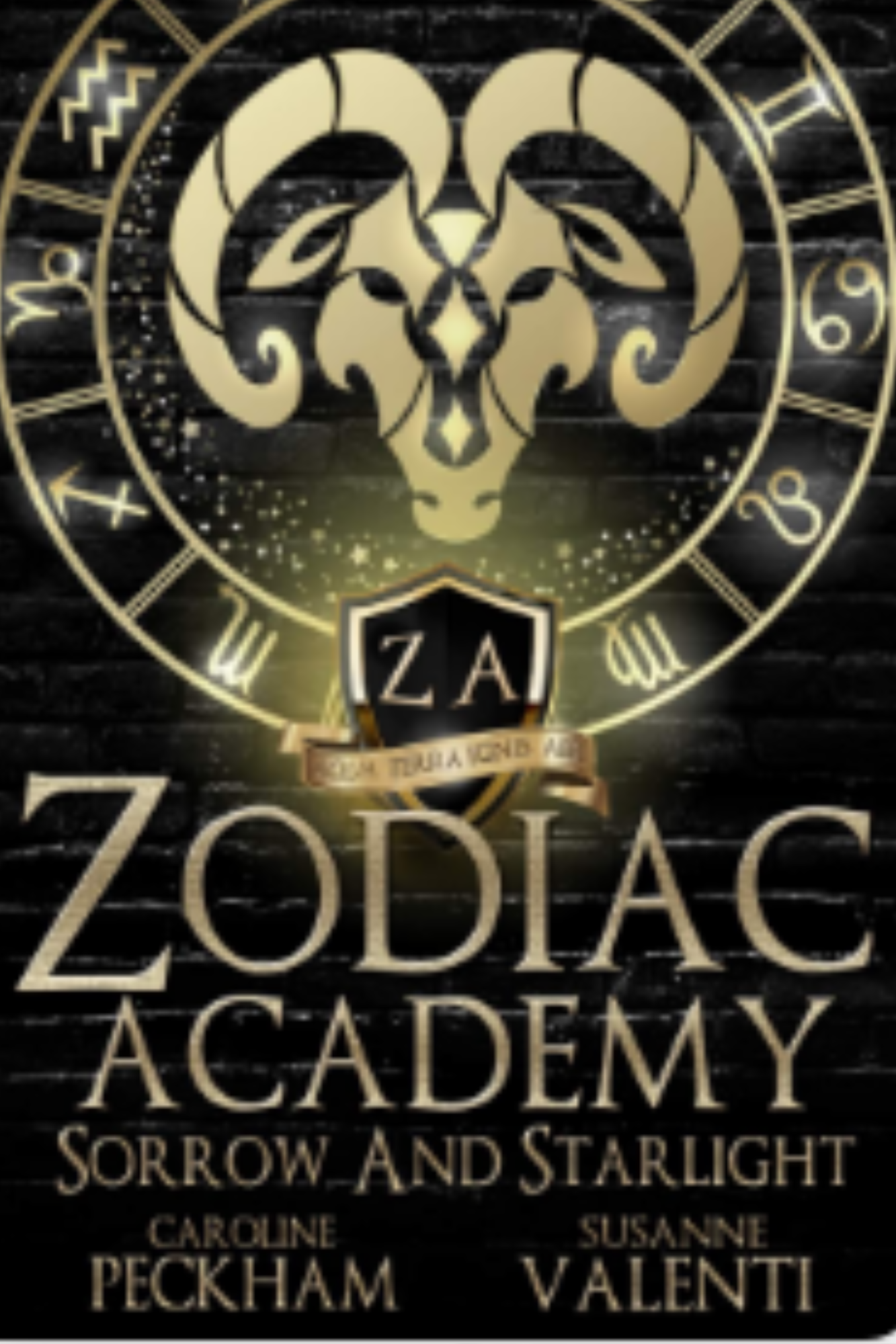 Sorrow and Starlight (Zodiac Academy #8)