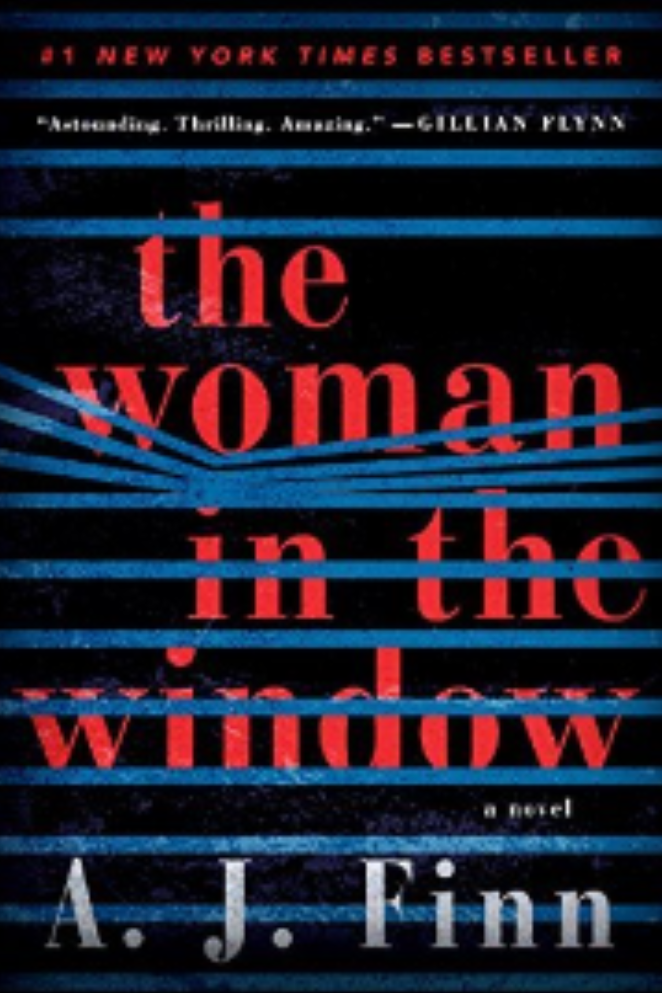 The Woman in the Window
