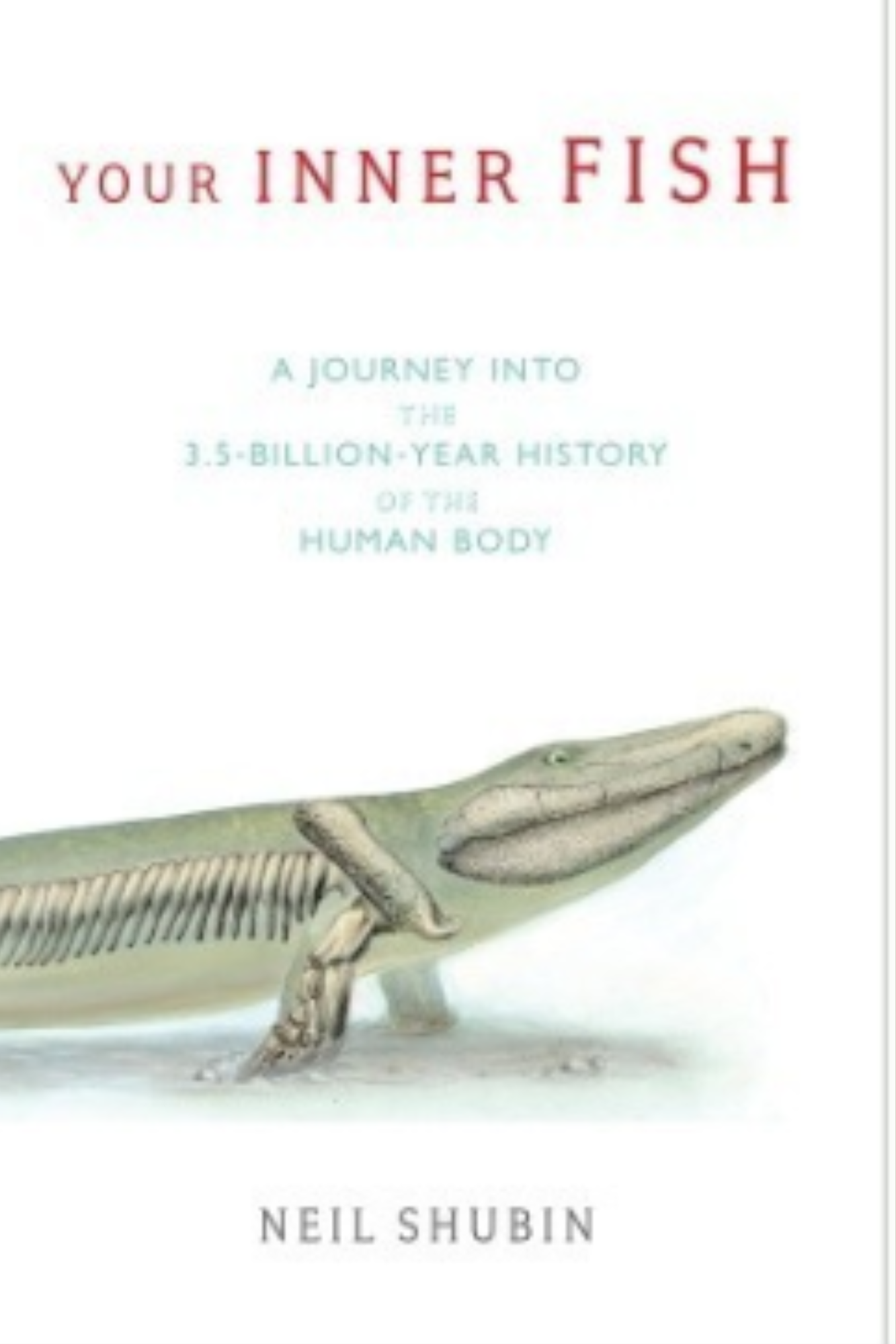 Chapter One Book Store