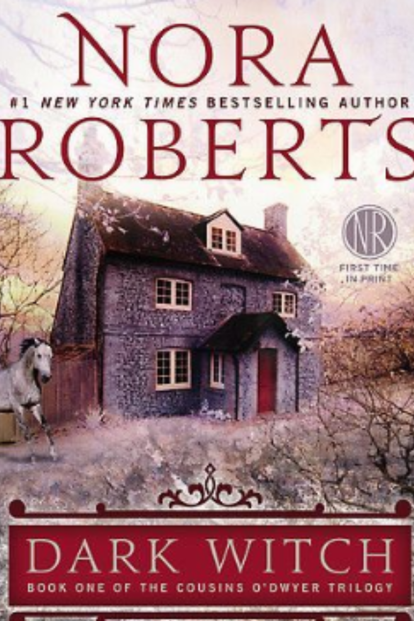 Dark Witch (The Cousins O'Dwyer Trilogy #1)