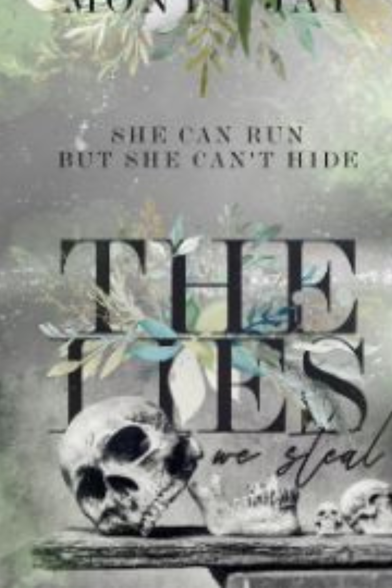 The Lies We Steal (Hollow Boys #1)