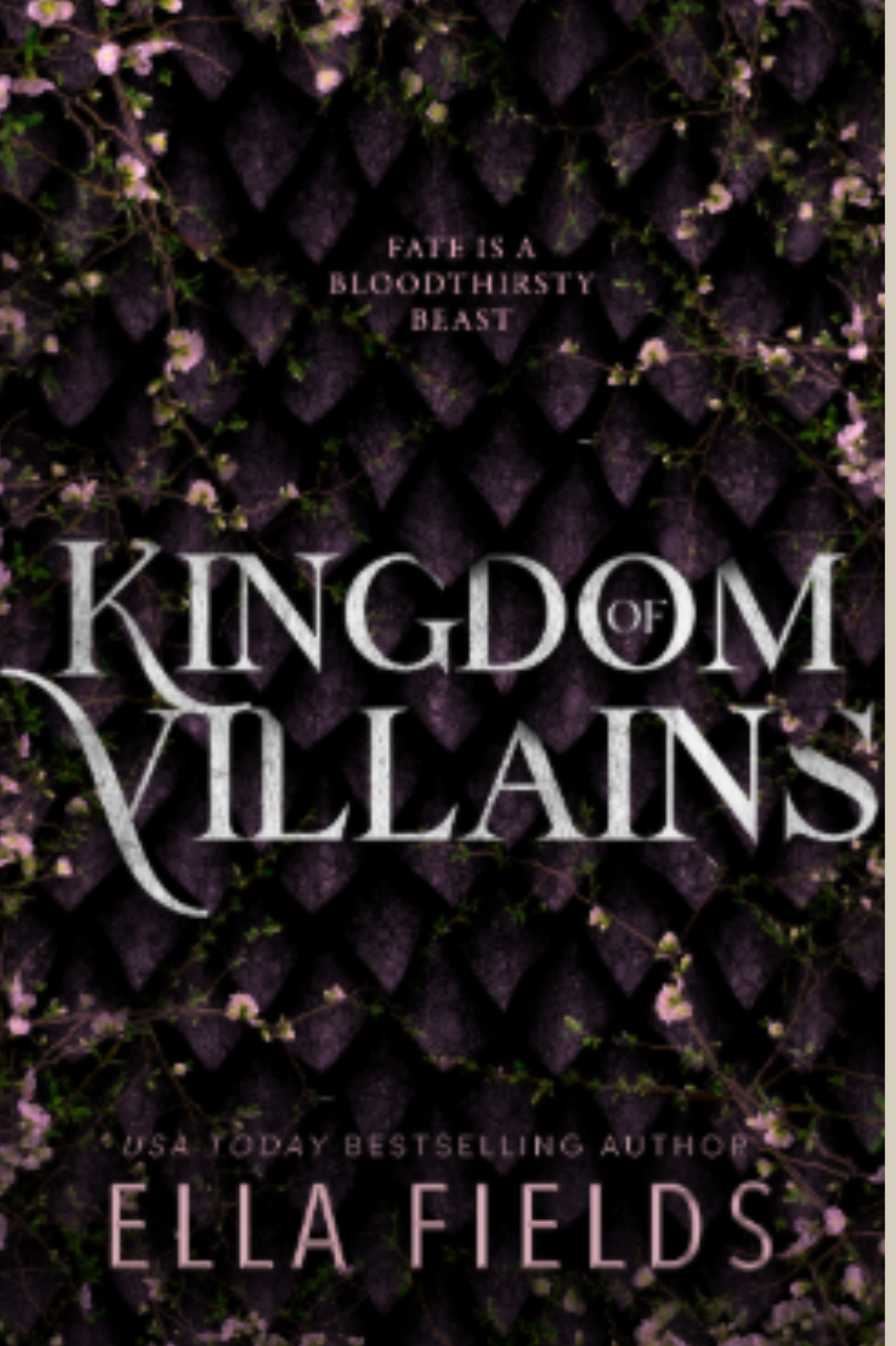 Kingdom of Villains
