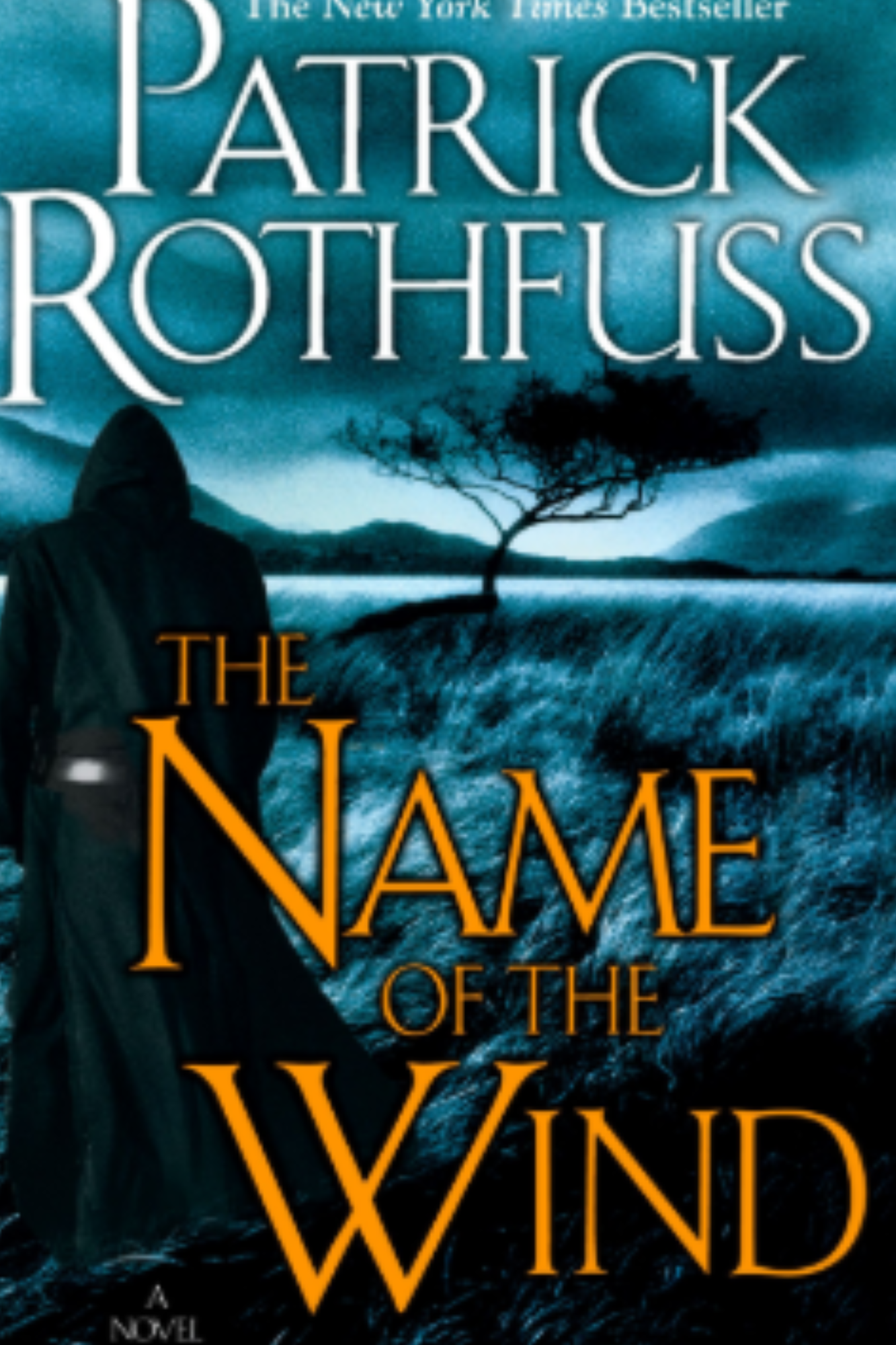 The Name of the Wind (The Kingkiller Chronicle #1)