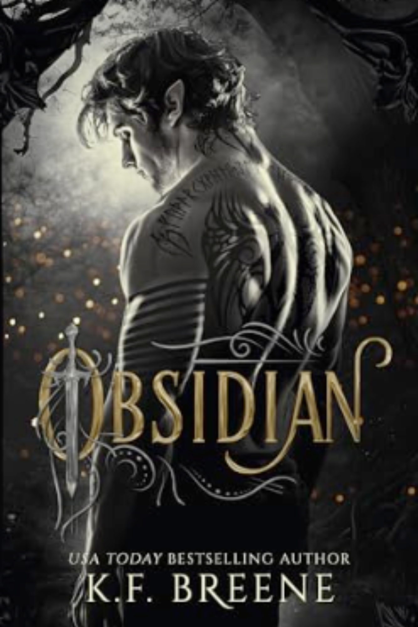 Obsidian (Shadowbound Fae #1)