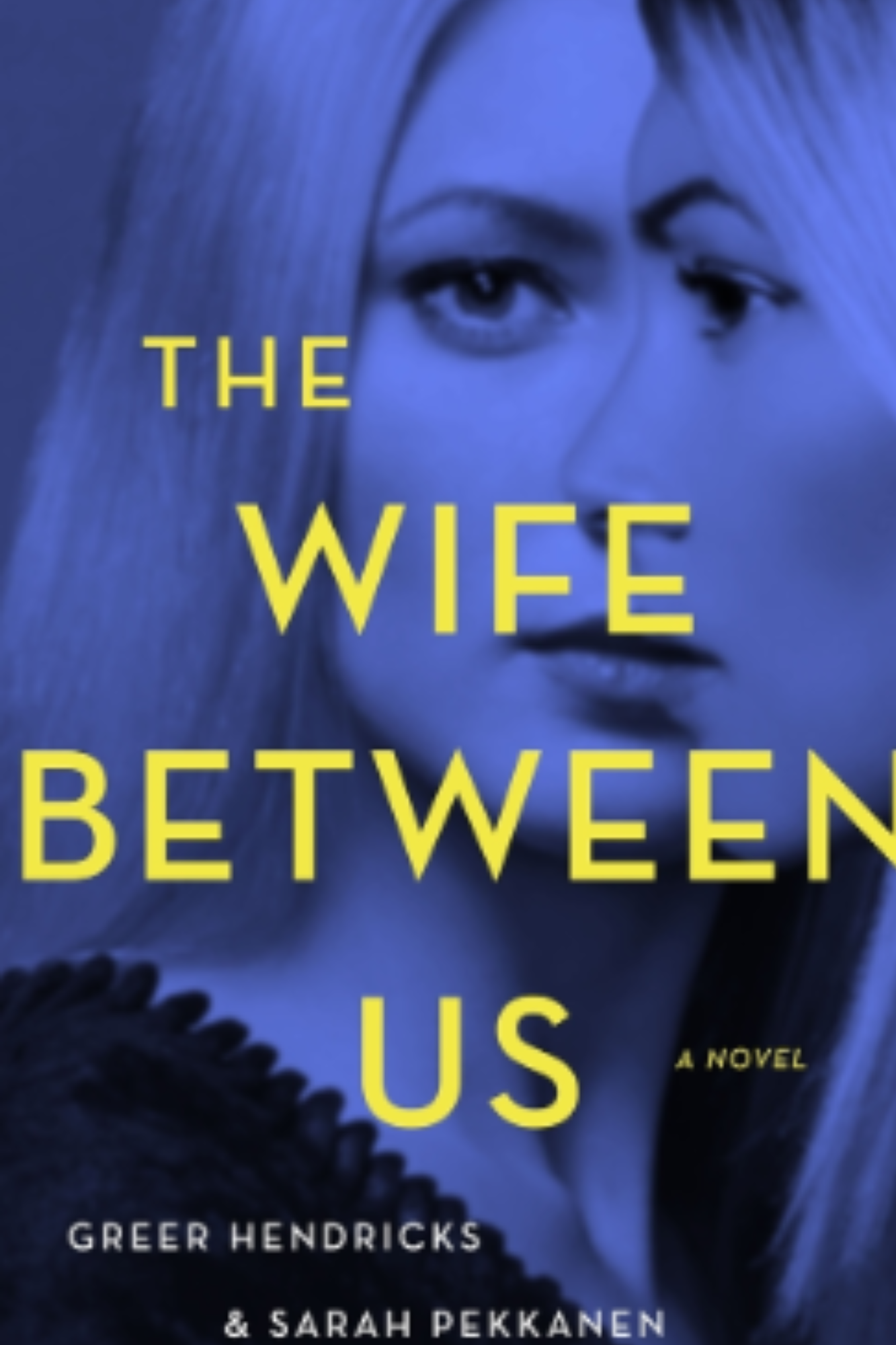 The Wife Between Us