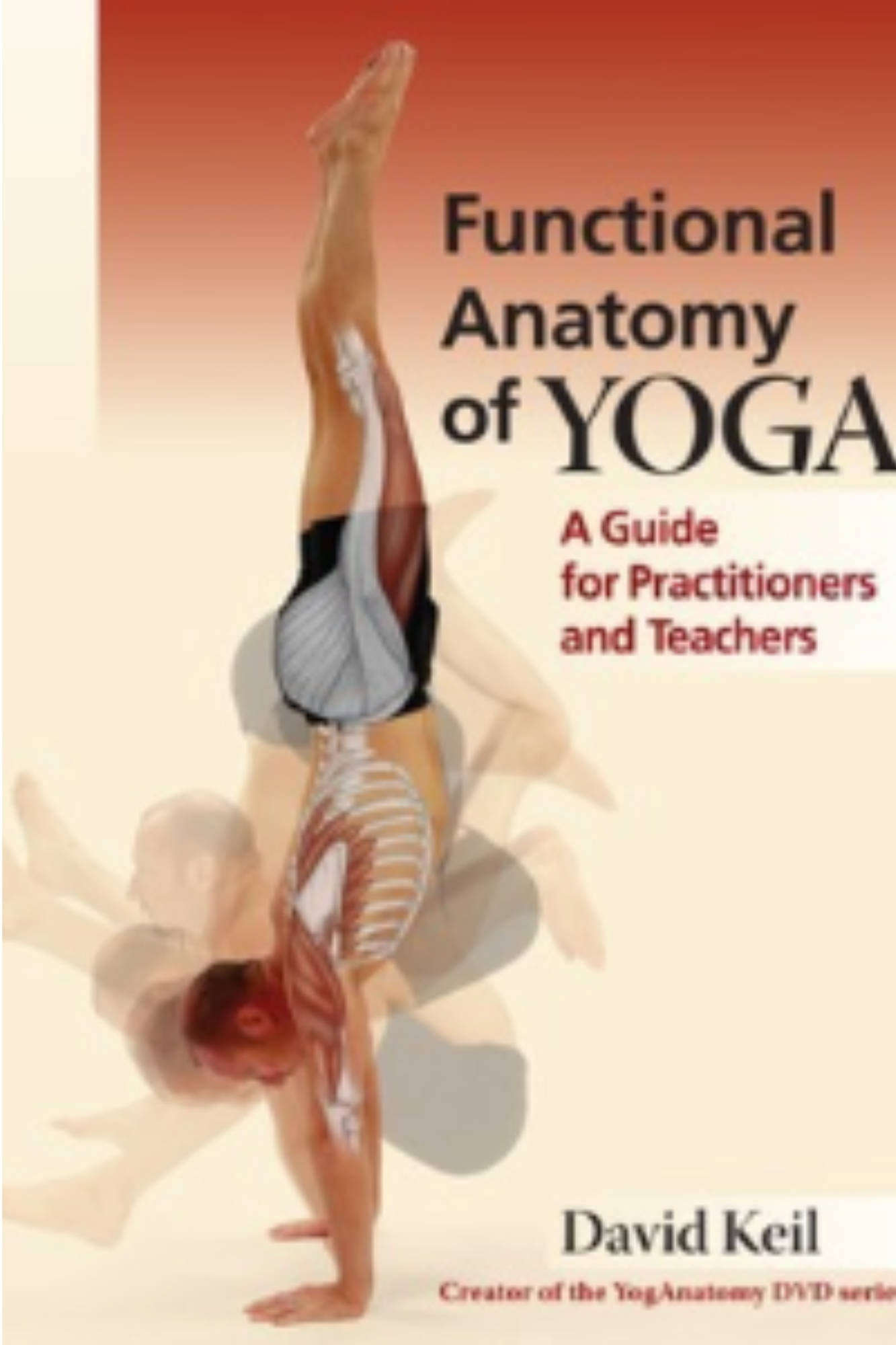 Functional Anatomy of Yoga