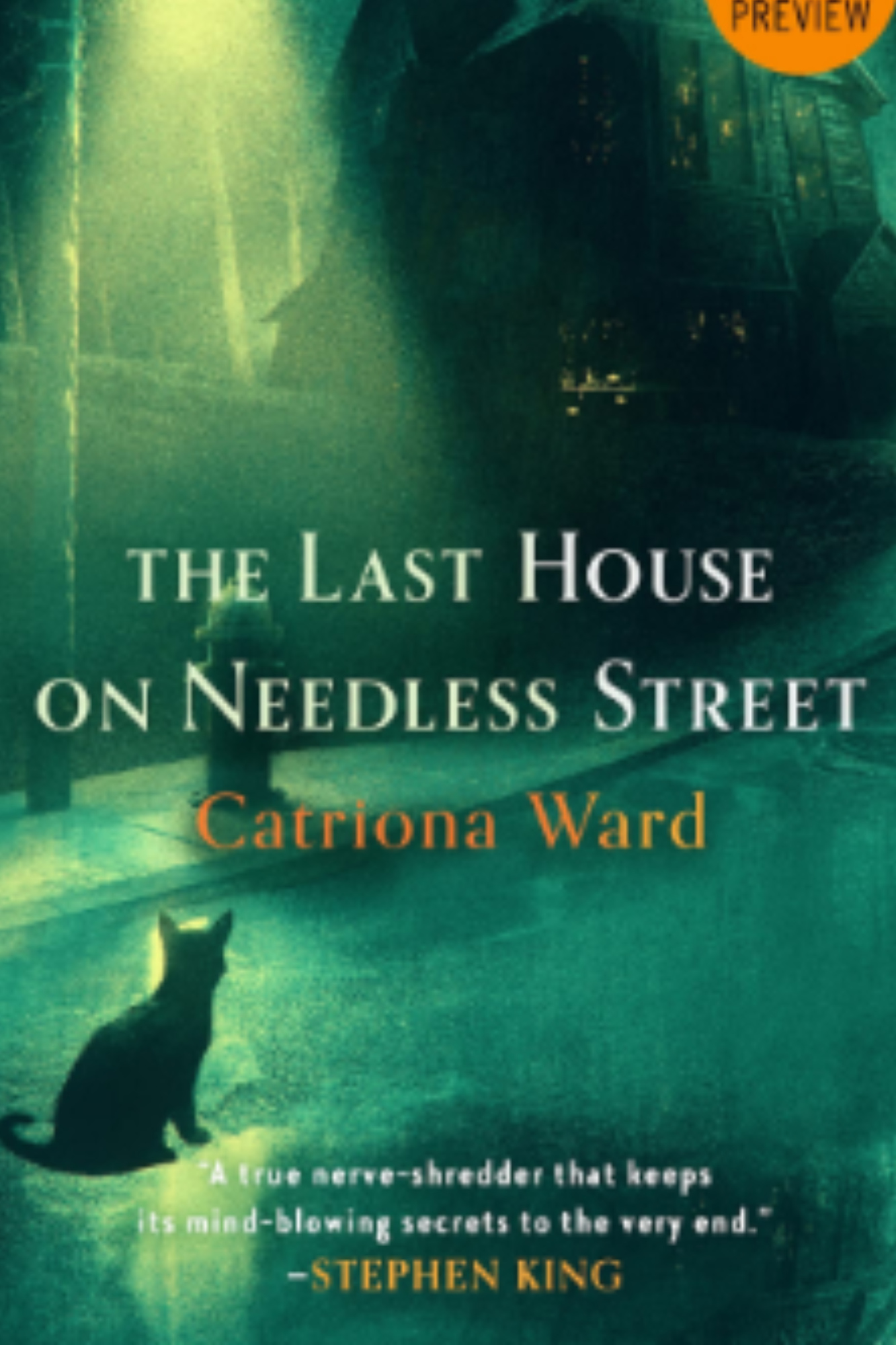 The Last House on Needless Street